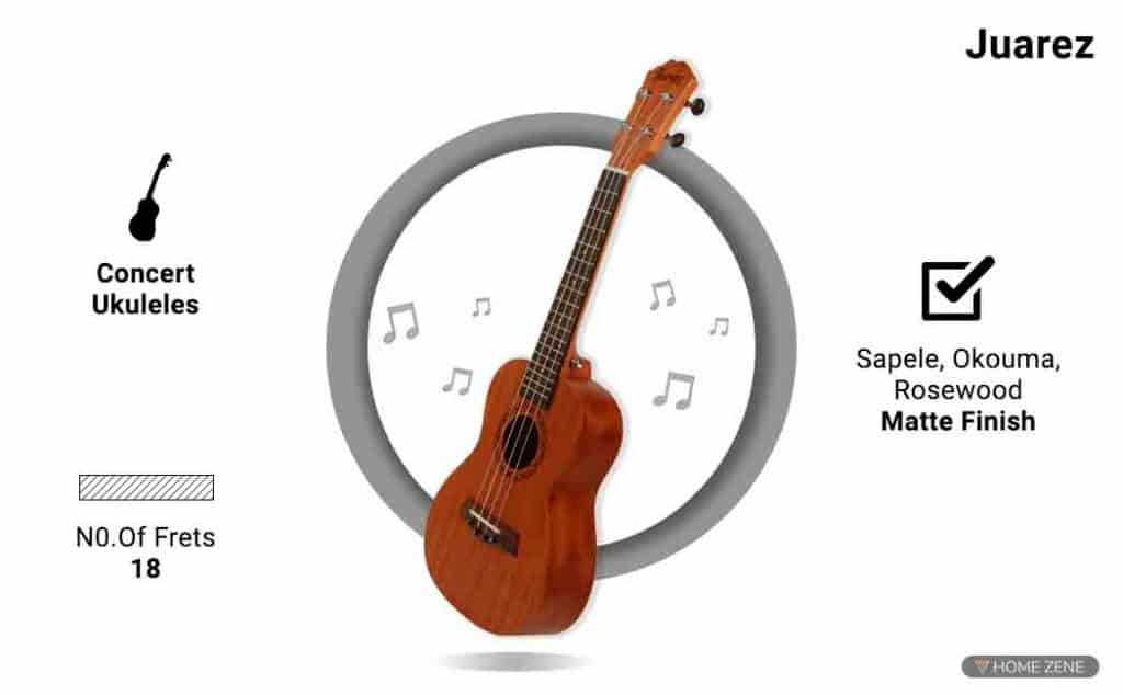 7 Best Ukuleles in India For Beginners & Professionals Buyer's Guide