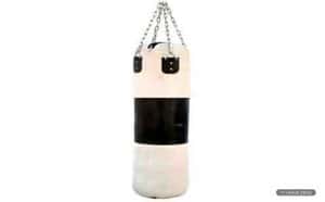 Genric 4 Feet Unfilled Canvas Punching Bag