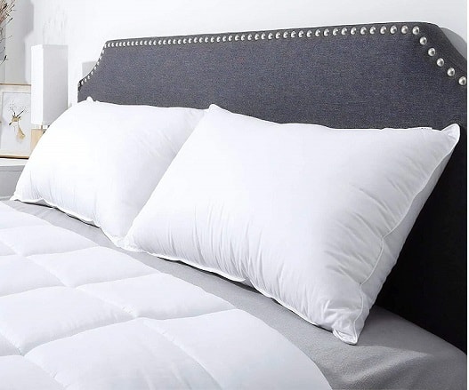 Compal Plush Gel Bed Pillow