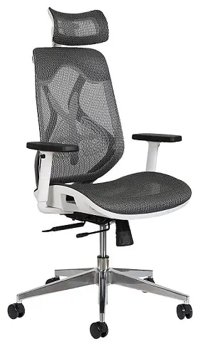 MISURAA Xenon Ergonomic Office Chair