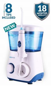 Caresmith Table Top Flosser