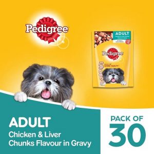 Pedigree Adult Wet Dog Food