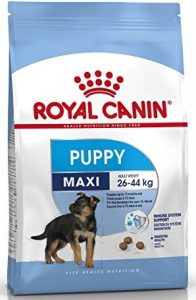 Royal Canin Maxi Puppy