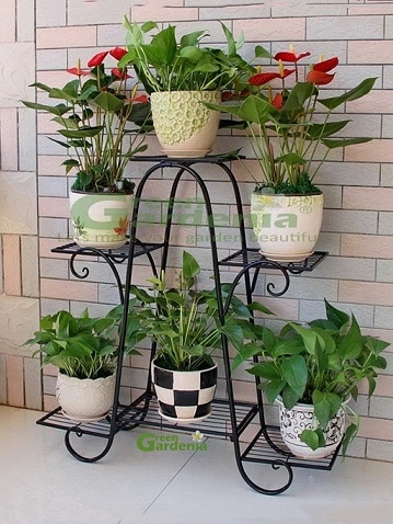 Green Gardenia Iron Plant StandÂ