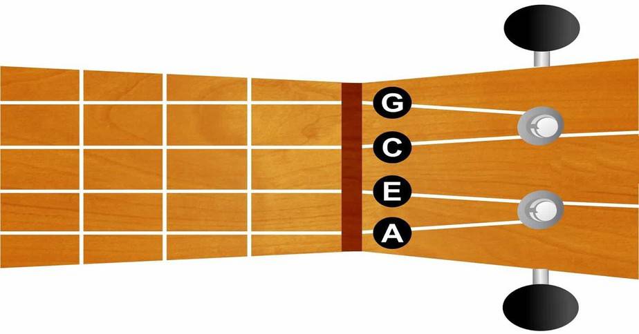 A Detailed Guide to Ukulele Strings